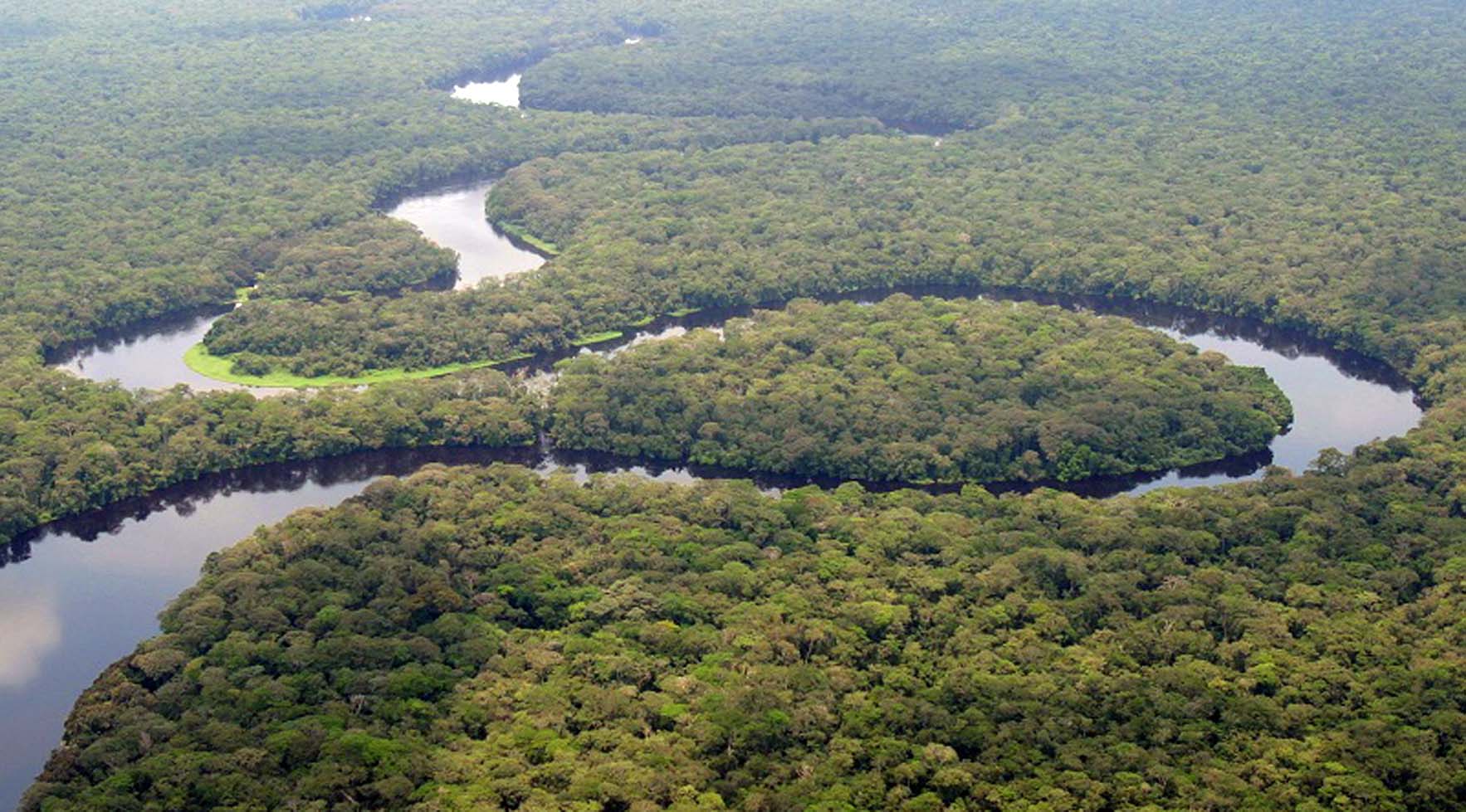 congo-threatens-to-open-world-s-second-largest-rainforest-to-loggers