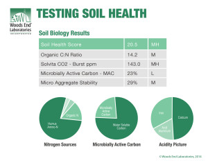 Testing-soil-health