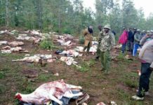 villagers cry fowl over disappearance of donkeys in Kenya