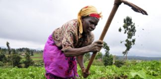 Hungry Farmers: How Market-oriented Agriculture Destabilizes Food Security of Households.