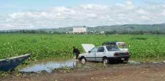 Scientists Warn More Needs to be Done to Combat Invasive Alien Species