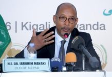 NEPAD Set To Re-Brand to African Union Development Agency
