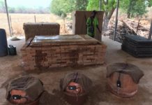 Want to Keep Fruits and Vegetables Fresh, Try These Innovations from Mali