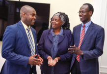 Kenya Has The Capacity to Produce Over 8 Million Metric Tonnes of Potato Annually, Expert Says