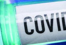 AUDA-NEPAD Launches COVID-19 Response Plan