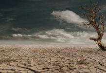 West and Central Africa Journalists Trained on How African Countries are Managing Impacts of Climate Change