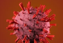 Scientists Find Immune Cell Active in Severely Ill COVID-19 Patients