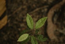 AWiM and Solutions Journalism Network Launch New Course on Environment Reporting