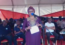 Cross-border Interventions Critical in the Fight Against Malaria