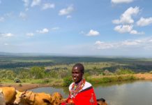Grass Banks of Oloisukut Conservancy Saving Livestock from Drought