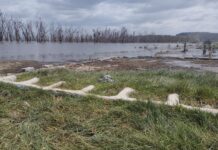 Lake Nakuru’s Water levels Expected to Cause More Havoc During The Rainy Season, Experts Say