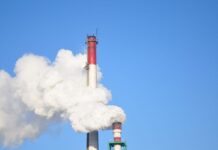 Experts Urge Nairobi Residents to Embrace Jogging at night or lunch hour to combat Air Pollution