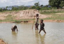 Sand Mining in Tanzania: Trails of Destruction in Lake Victoria and its Environs