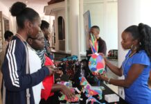 Private Sector Urged to Invest in Urban Insect Farming for Sustainable Waste Management