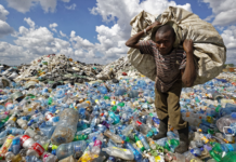 Opinion: World Environment Day An Opportunity For All Hands On Deck