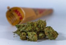 Alarm as Drug Abusers in Mombasa Take to Veterinary Drugs