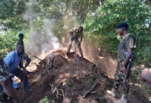 Kenya: Crack Down on Illegal Charcoal Burning Along River Lumi in Taita Taveta