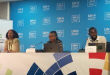 UNEA-6: Lobby Group Calls for End to Fossil Fuels in Africa