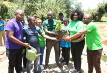 World Water Day: Nairobi County Plants 500 Trees in Commemoration
