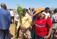 Tourism and Wildlife Cabinet Secretary Alfred Mutua Spearheads Tree Planting Initiative at Lake Jipe