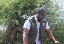 Taita Taveta Marks World Environment Day with Colossal Tree Planting Initiative
