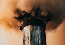 Air Pollution: 8 Million Deaths Reported Globally in 2021 Including Children Under Five