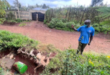 Kenya’s Ministry of Health Issues Urgent Advisory Over Sodium Cyanide Spillage