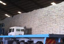 Ahead of the Rains: Government’s Strategic Fertilizer Deployment to Boost Food Security