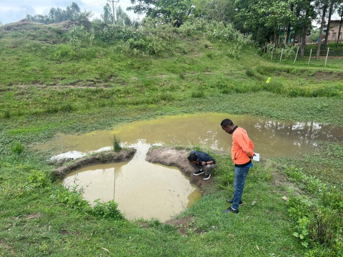 07d65348-9786-4c5b-a655-61316969c12c