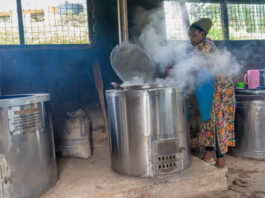 The Stove That Saved the Forest and the School
