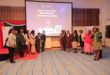 Government Launches National GBV Reporting WhatsApp Platform Amid Critism