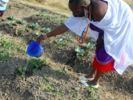 Kenya’s Maasai Women And Youth Lead Climate Adaptation Efforts