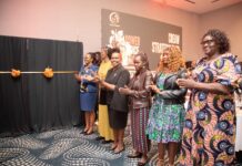 CREAW Unveils New Strategic Plan to Combat Femicide in Kenya