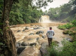 Guardian Farmers at the Tana Headwaters, Strengthening Resilience on Nairobi’s Water Security