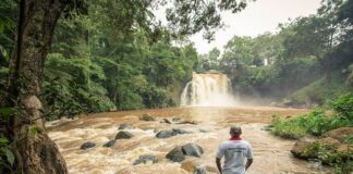 Guardian Farmers at the Tana Headwaters, Strengthening Resilience on Nairobi’s Water Security