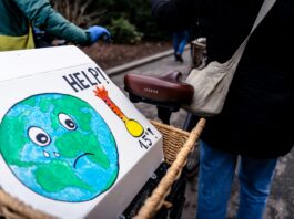 Can Rising Interest in Africa’s Climate Health Research Transform the Continent?