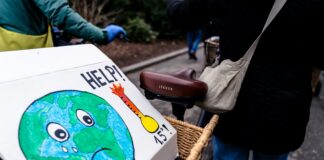 Can Rising Interest in Africa’s Climate Health Research Transform the Continent?