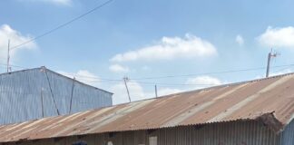 Nairobi’s Mukuru Residents Celebrate World Environment Day with Clean-Up and Tree Planting