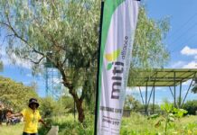 Kenyan Grassroots Environmental Group Selected for Global Fundraising Campaign as Deadline Looms