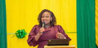 Nairobi’s Invisible Engine: Why Unpaid Care Work is the Next Frontier for Kenya’s Capital Economy