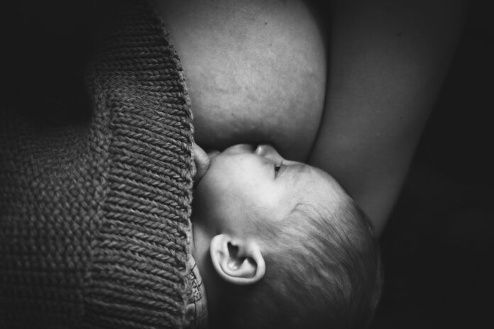 pexels/mateusz dach