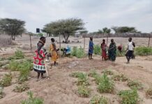 Displaced Three Times: When Drought, Conflict, and Floods Collided in Turkana North