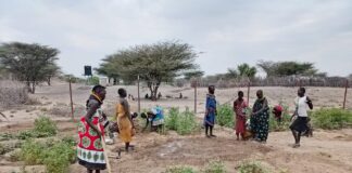 Displaced Three Times: When Drought, Conflict, and Floods Collided in Turkana North
