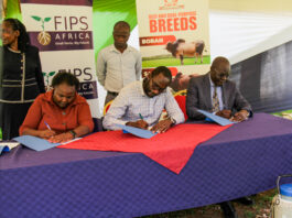 Busia County Partners with FIPS Africa and KAGRC to Slash AI Costs and Transform Dairy Farming