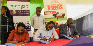 Busia County Partners with FIPS Africa and KAGRC to Slash AI Costs and Transform Dairy Farming
