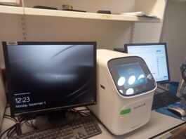 The Silent Killer in Our Genes: Landmark Study to Decode Africa’s Hypertension Crisis