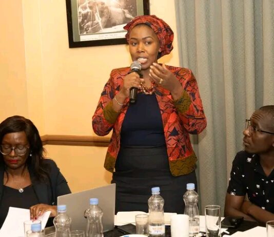 Beyond the Numbers: How Media Can Keep Maternal Health on the Agenda