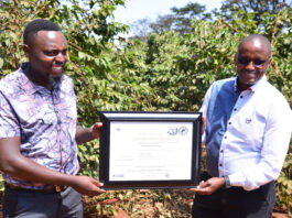 Regenerative Agriculture Offers New Path for Kenya’s Coffee Sector