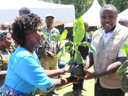 Climate-Smart Farming Transforms Nzoia Watershed as 432 Farmers Benefit from County Initiative