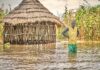 OPINION: Africa Can’t Wait, Climate Promises Must Become Action